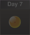 Day 7